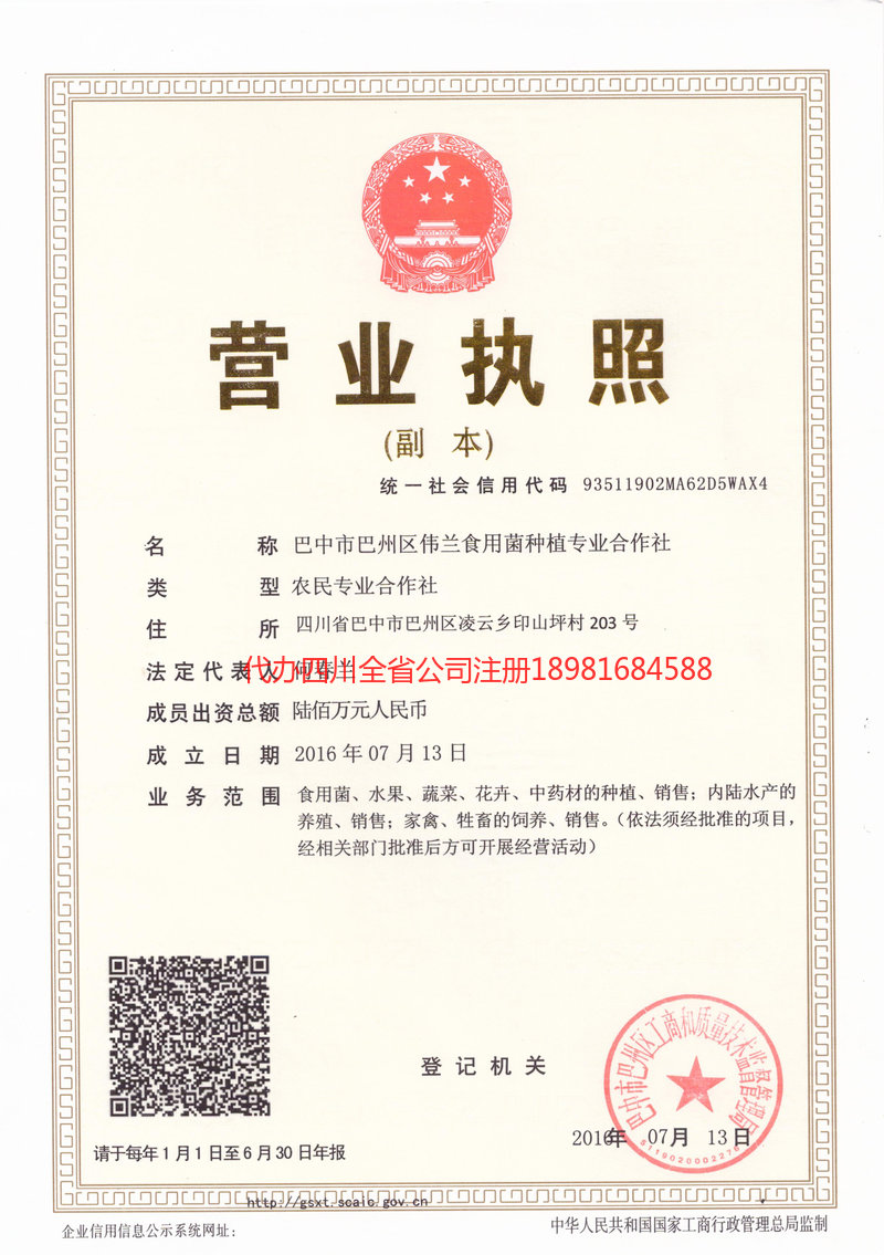 南江南江伟兰食用菌种植专业合作社